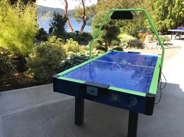 Unleash Your Inner Champion: The Arctic Flash Air Hockey Table Review