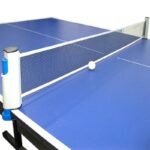 Ping Pong Net